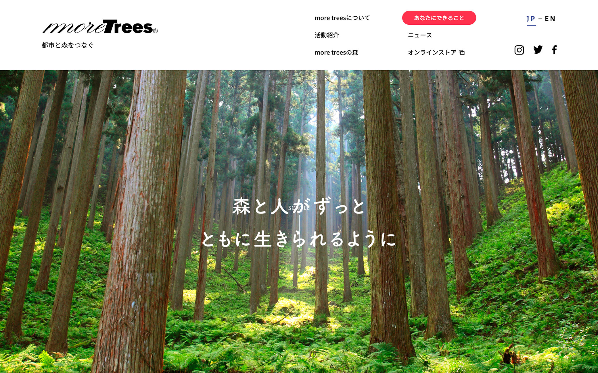一般社団法人more trees